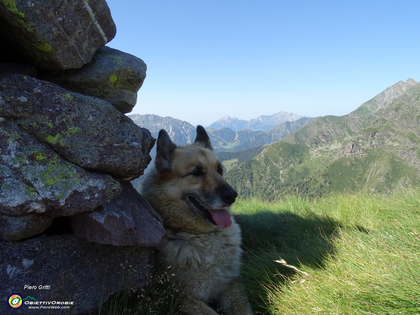 28 Dori riposa all'ombra dell'omone del Monte Avaro (2080 m).JPG